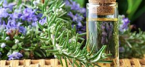 Rosemary Essential Oil