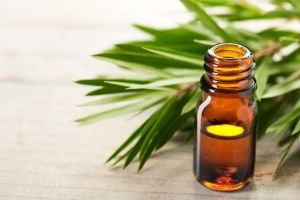 Tea Tree Essential Oil