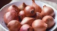 shallot onions