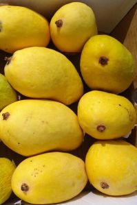 Chaunsa Mangoes