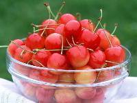 Fresh Cherry