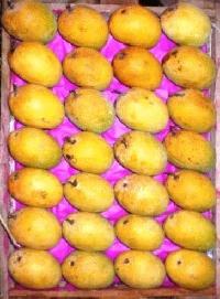 Ratnagiri Hapus Mango