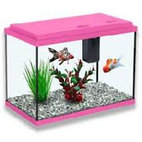 fish aquariums