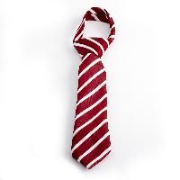 School Tie