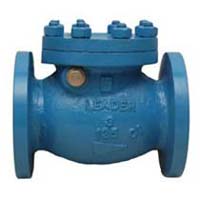 Cast Iron Reflux Valves