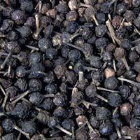 Black Pepper Seeds