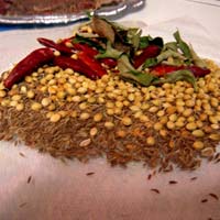 Sambar Masala Ingredients