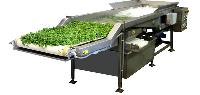 vegetable washing equipment