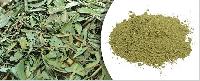 Tulsi Powder