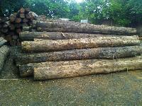 Teak Wood Logs