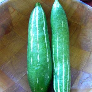 Fresh Pointed Gourd