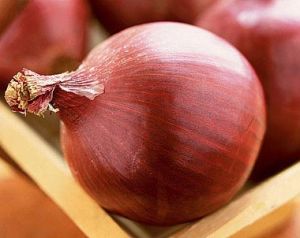 Red Onion