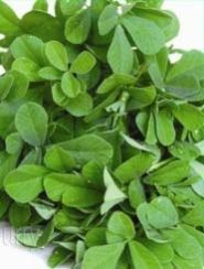 Fenugreek Seeds