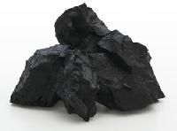 Cooking Coal