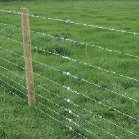 Fencing Wire