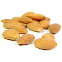 Almond Kernels