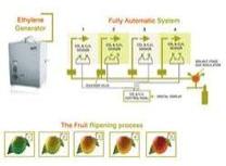 fruit ripening machine