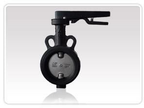 Butterfly Valve Drip Model