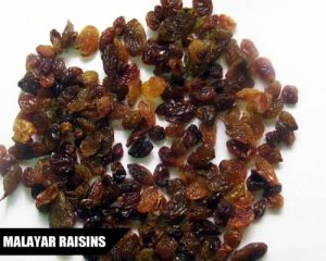 Malayar Raisins