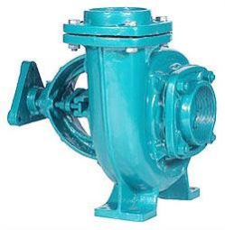 Gland Water Pump