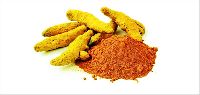 Turmeric Extract