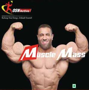 Muscle Mass Supplements