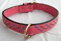 Dog Collars