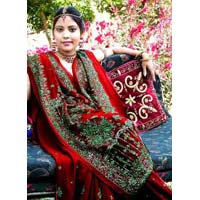 Zardozi Saree Zs-01