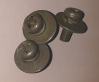 Screw washer assembly