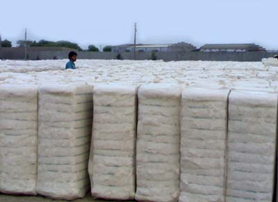 Raw Cotton Bales