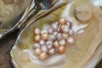 freshwater pearls