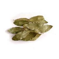 Dried Bay Leaf