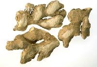 Dried Ginger