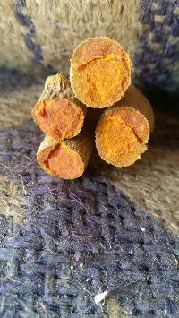 Turmeric