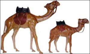 Leather Camels