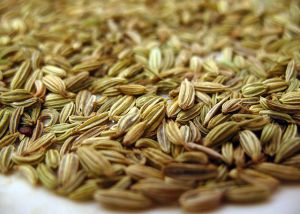 Fennel Seeds