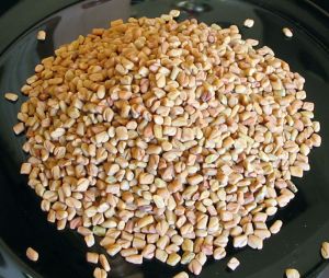 Whole Fenugreek Seeds