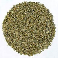 Green Millet