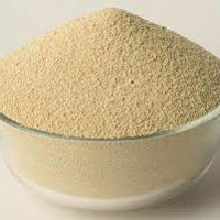 Soybean Meal