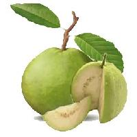 Fresh Guava