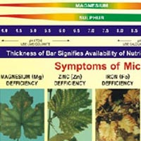 micronutrient fertilizer