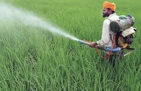 Bio Pesticide Spray