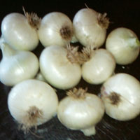 White Onions