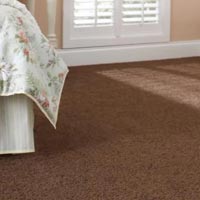 Wall Carpet Installation Services