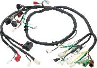 automobile wiring harness