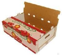 Fruit Packaging Boxes