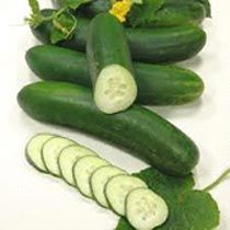 Fresh Cucumber