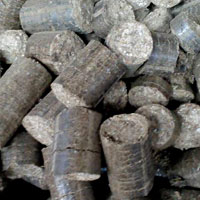 Biomass Briquettes