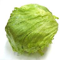 Lettuce