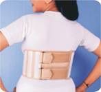 Lower Rib Support - Female